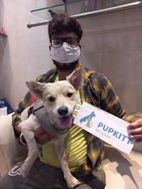 Pupkitt Pet Care Civil Lines Ludhiana Medical Services | Veterinary