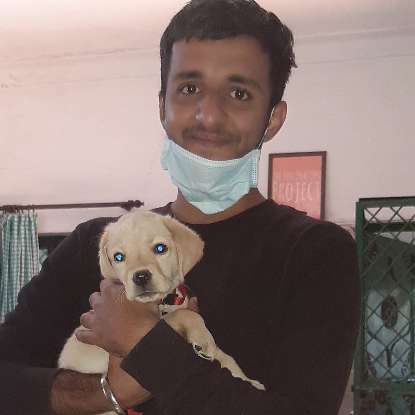 Raahat|Veterinary|Medical Services