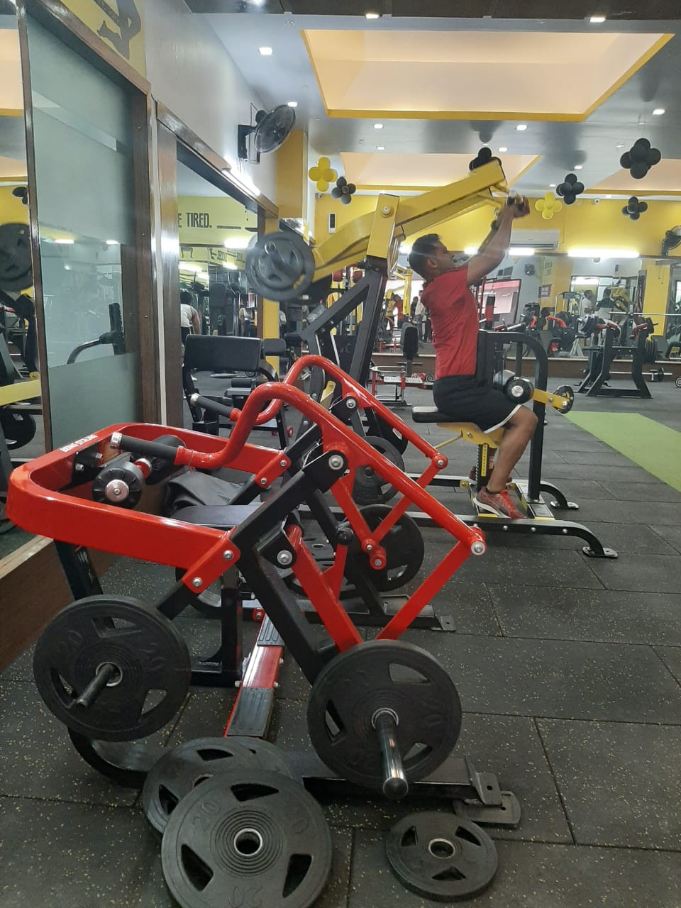 gym equipment shop in najafgarh > OFF61