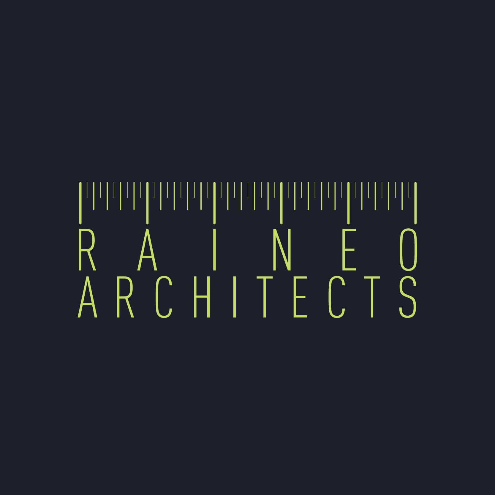 Raineo Architects|IT Services|Professional Services