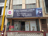 Raj Canine Care Medical Services | Veterinary