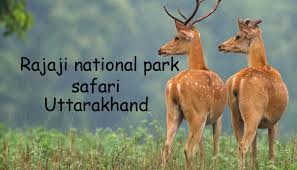 Rajaji National Park - Logo