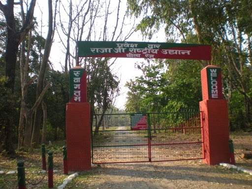 Rajaji National Park Travel | Zoo and Wildlife Sanctuary 