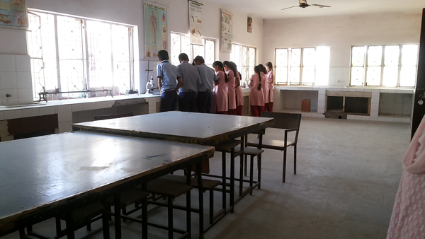 Rajindra Public School Nangloi Schools 009