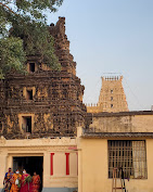 Ranganatha Temple, Nellore Religious And Social Organizations | Religious Building