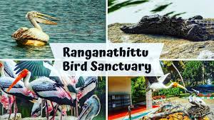 Ranganathittu Bird Sanctuary - Logo