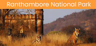 Ranthambore National Park - Logo