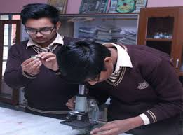 Rao Man Singh Sr. Sec. School Education | Schools