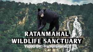 Ratanmahal Sloth Bear Sanctuary - Logo