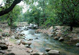 Ratanmahal Sloth Bear Sanctuary Travel | Zoo and Wildlife Sanctuary 