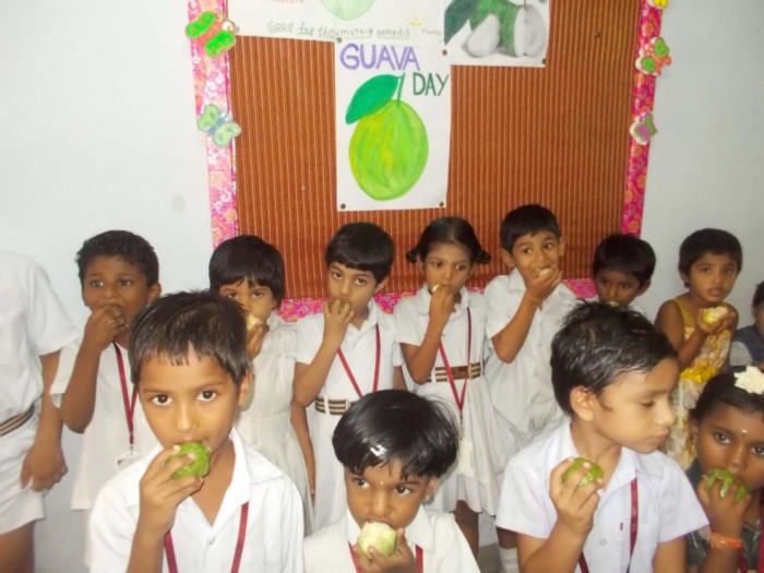 Ravindra Bharathi Schools Education | Schools