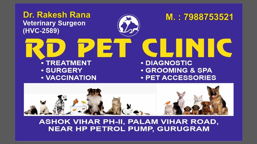 RD Pet Clinic|Veterinary|Medical Services