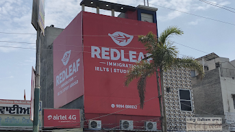 RedLeaf Immigration and Ielts Faridkot Professional Services | Legal Services