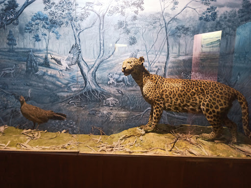 Regional Museum of Natural History, Bhopal Travel | Museums