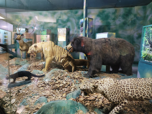Regional Museum of Natural History Travel | Museums
