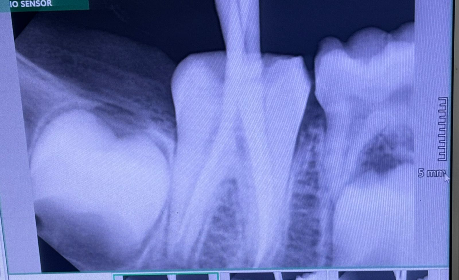 Renuka Smile Care Multispecialty Dental Hospital |Diagnostic centre|Medical Services