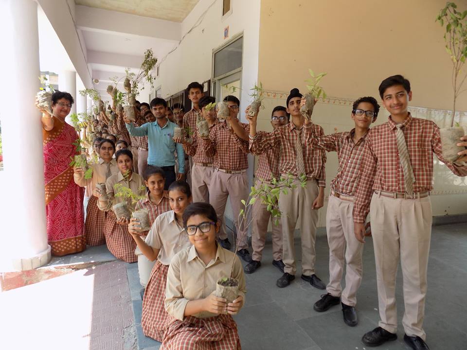 RKSD Public School Kaithal Schools 004