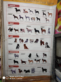 Royal Dog Hospital Jhajjar Medical Services | Hospitals