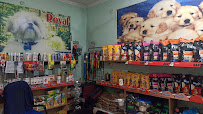 Royal pet care Medical Services | Veterinary