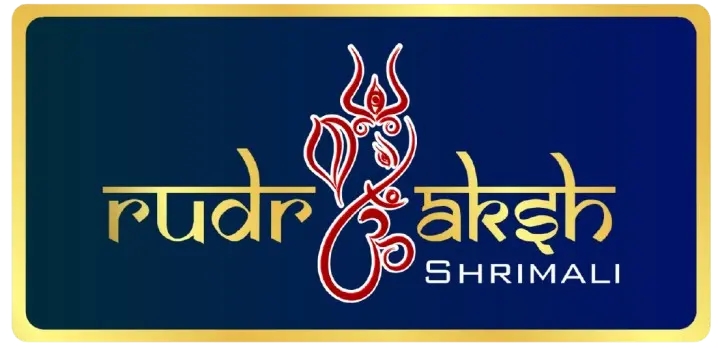 Rudraksh Shrimali  - Best Astrologer in Delhi |Religious Building|Religious And Social Organizations