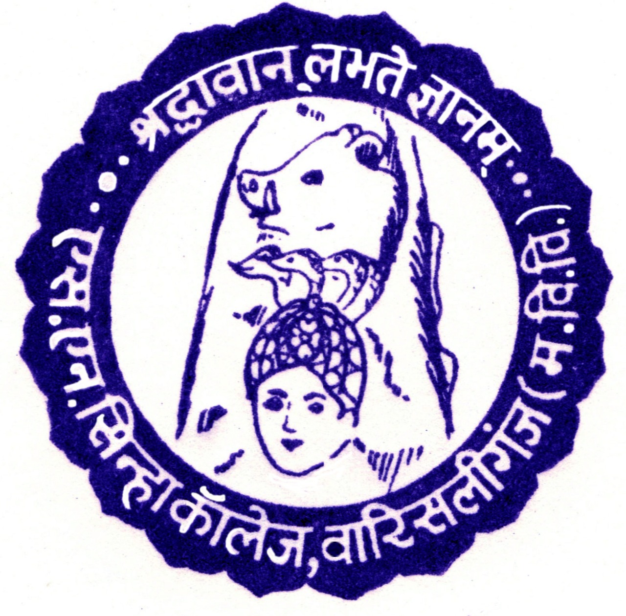 S.N. Sinha College Logo