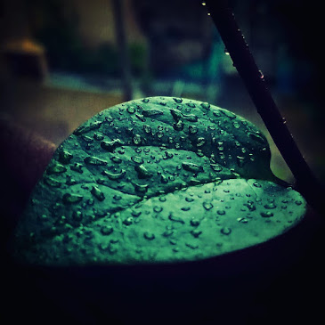 S_R_Photography|Catering Services|Event Services