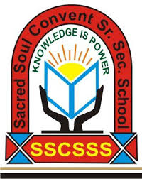 Sacred Soul Convent Senior Secondary School|Schools|Education