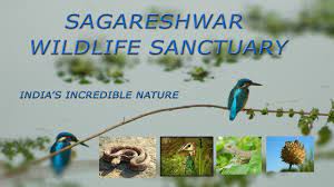 Sagareshwar Wildlife Sanctuary Logo