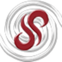 Saint Soldier International School Logo