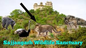 Sajjangarh Wildlife Sanctuary Logo
