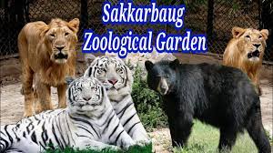 Sakkarbaug Zoological Garden|Airport|Travel