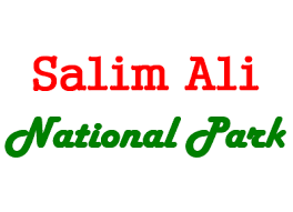 Salim Ali National Park|Lake|Travel