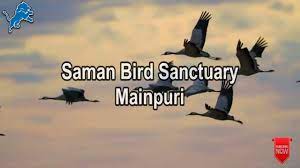 Saman Bird Sanctuary - Logo
