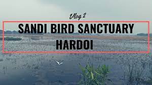 Sandi Bird Sanctuary - Logo