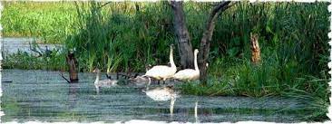 Sandi Bird Sanctuary Travel | Zoo and Wildlife Sanctuary 