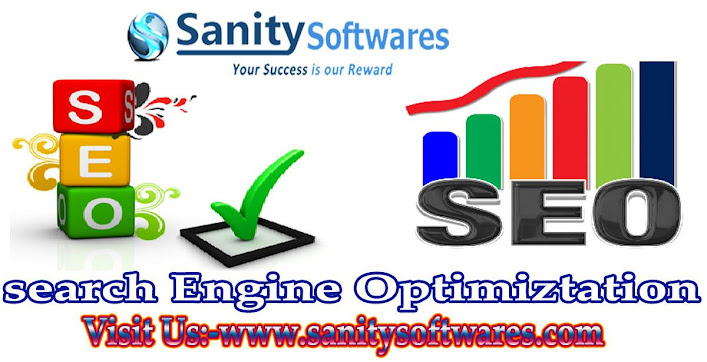 Sanity Softwares Professional Services | IT Services