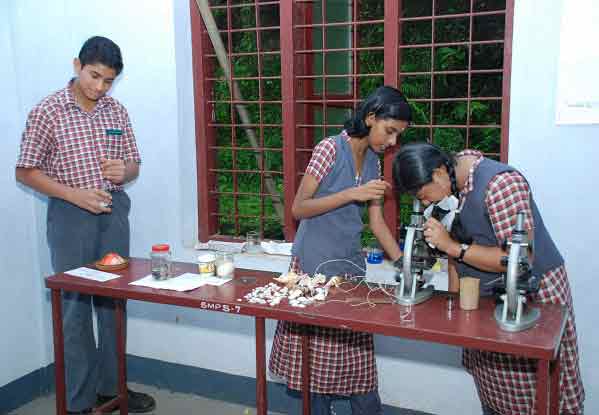 Sankaramangalam Public School Education | Schools