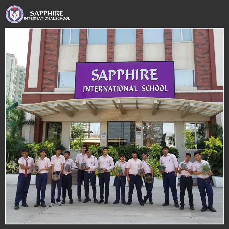 Sapphire International School Noida Schools 004