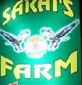 Sarai's Farm|Wedding Planner|Event Services