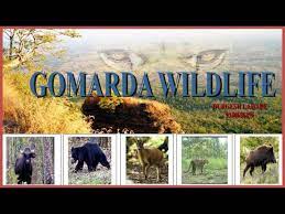 sarangarh-gomarda wildlife sanctuary Logo