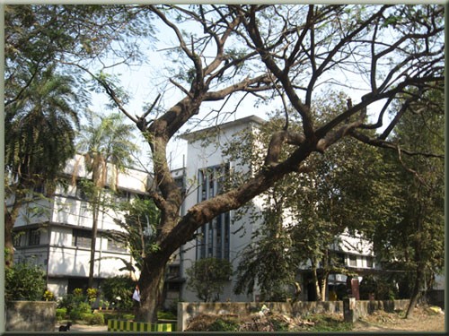 Sarojini Naidu College for Women Education | Colleges