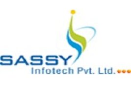 Sassy Infotech Pvt Ltd|IT Service|Professional Services