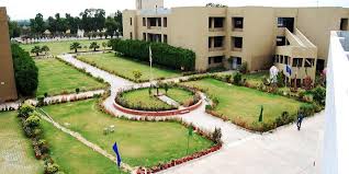 Sat Priya College Education | Colleges