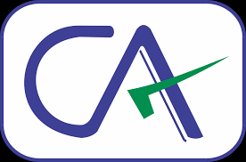 Satyala Yeshwanth & Co, Chartered Accountants - Logo