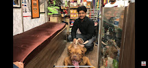 Saurabh Dog Kennel Medical Services | Veterinary