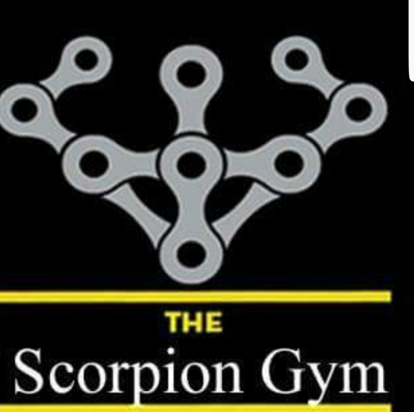 Scorpion Fitness Club - Logo