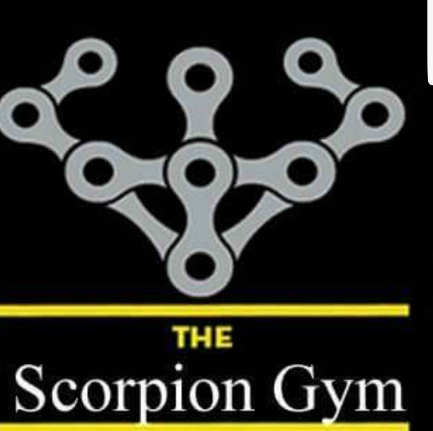 Scorpion Fitness Club|Salon|Active Life