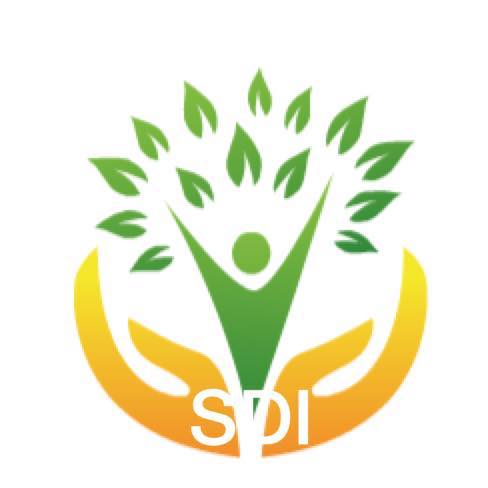 SD International Public School - Logo