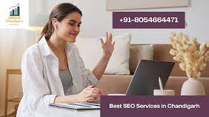 SEOHUB Chandigarh Professional Services | IT Services