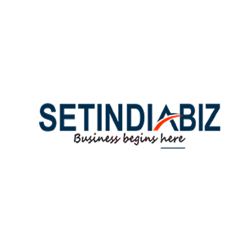 Setindiabiz Pvt Ltd|IT Services|Professional Services